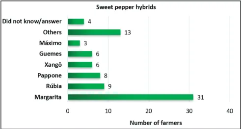 Figure 3. Sweet pepper hybrids grown in protected cultivation in Planaltina. Brasília,  Embrapa Hortaliças, 2018.