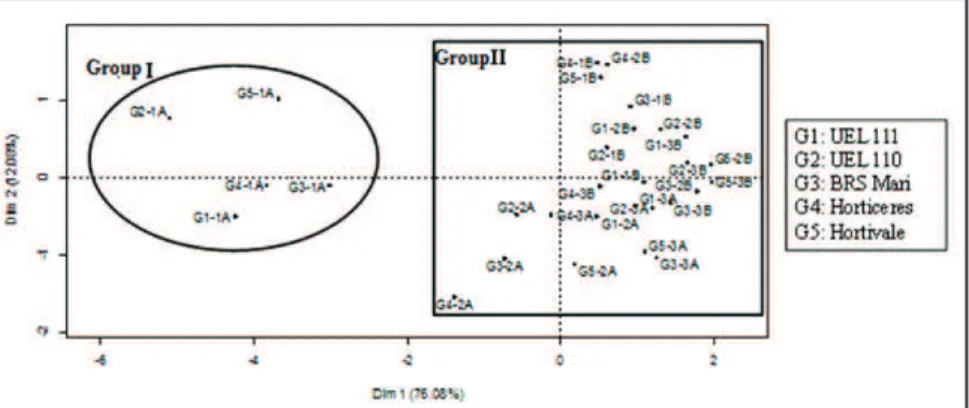 Figure 1. Biplot raph of Principal Component Analysis of pepper genotypes C. baccatum var