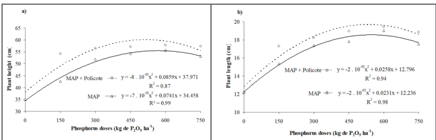 Figure 2. Root diameter (a) and productivity (b) of carrot in response to doses of P. Ipameri, UEG, 2016