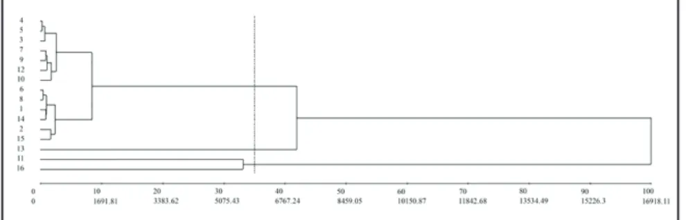 Table 2. Mini tomato genotypes clustered by Tocher’s optimization method estimated with   Mahalanobis distance