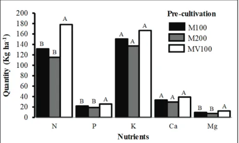 Figure 2. Amount of nutrients accumulated in shoot of cabbage using topdressing with  organic compost;  1 Bars with the same letters do not differ among themselves by Scott-Knott  test, 5% probability; 0N= 0.0 kg ha -1  N; 100N= 100.0 kg ha -1  N