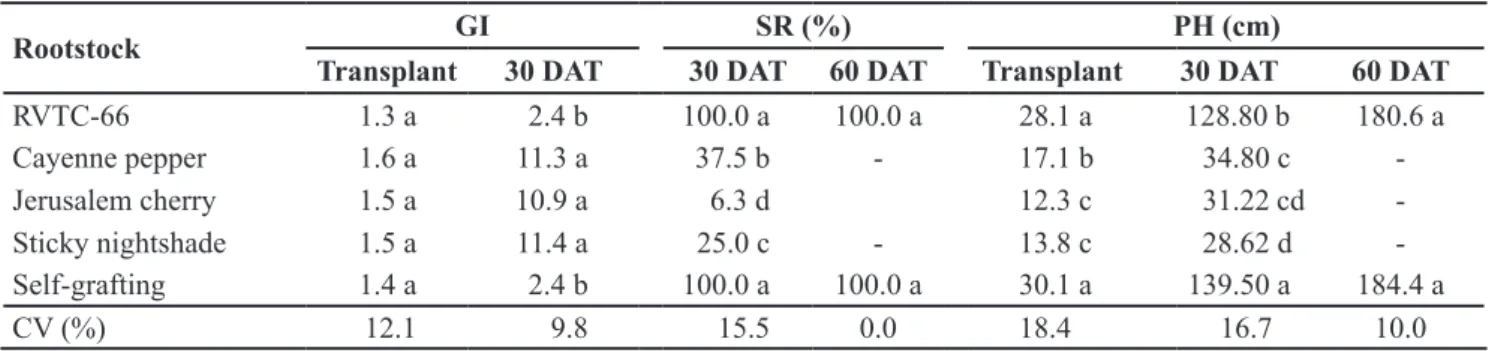 Table 2. Grafting incompatibility (GI), plant survival rate (SR) and plant height (PH) of tomato grafted on different Solanaceae