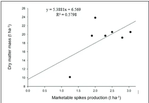 Figure 1.  Linear regression between marketable spikes (PC) and dry mass (MS) production