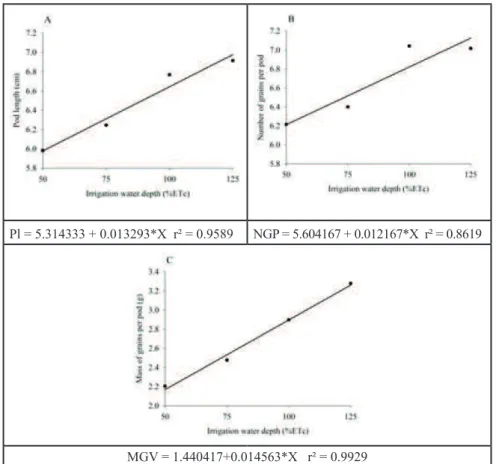 Figure 1. Average estimate of pod length (A), number of grains per pod (B) and mass of grains  per pod (C) of peas submitted to different irrigation depths