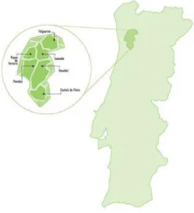 Mapa 1  – Mapa do Vale do Sousa/Portugal