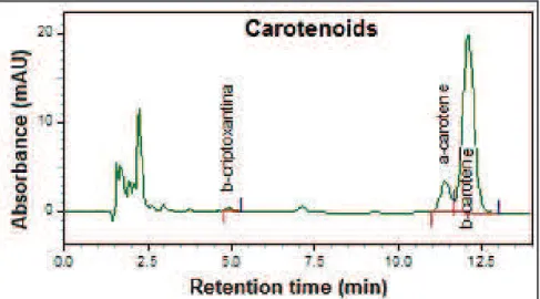Figure 1. Chromatograms of carotenoid analyzes by HPLC in Sinapis arvensis samples. 