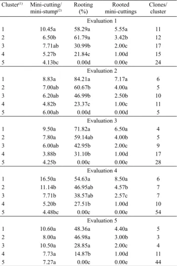 Table 1. Analysis of variance of clusters for the traits  number of mini-cuttings produced per mini-stump, rooting  percentage, and number of rooted cuttings per  mini-stump of canjerana clones.