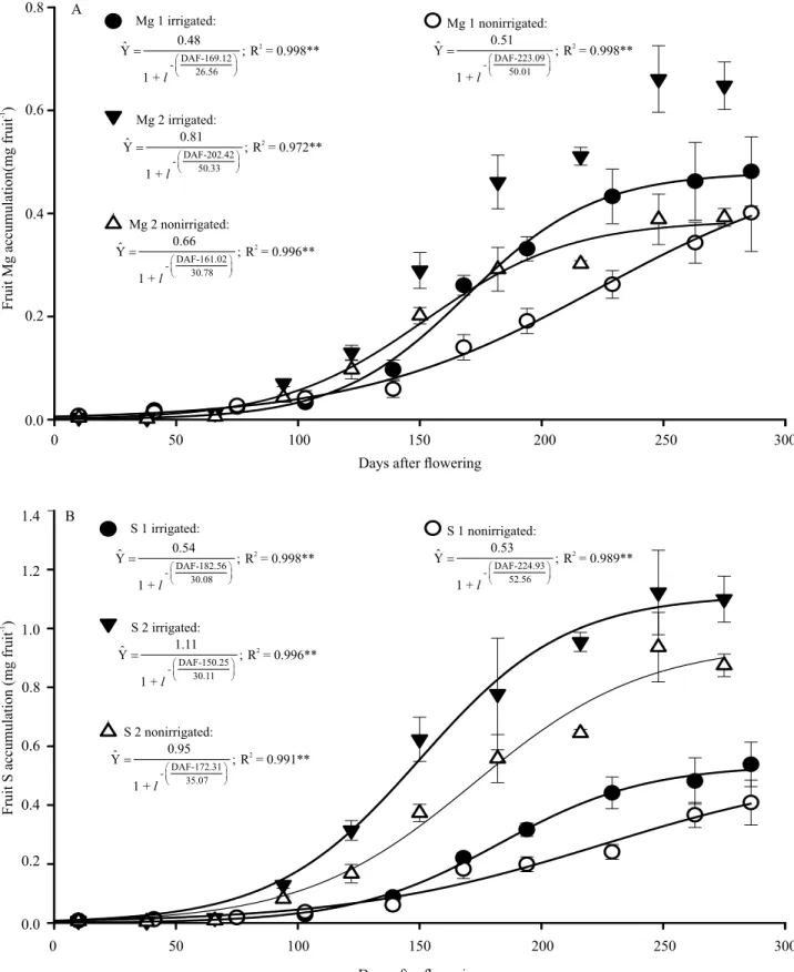 Figure 4. Accumulation of magnesium(A) and sulphur (B) in fruit of irrigated and nonirrigated conilon coffee (Coffea  canephora) plants, from flowering to fruit ripening, in two consecutive crop seasons (Year 1 – Mg 1, S 1; Year 2 – Mg 2, S 2), in  the Atl