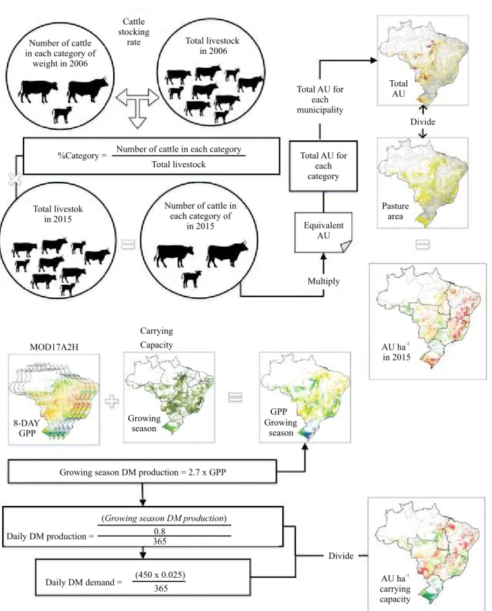 Figure 1. Flowchart for the estimation of cattle stocking rates and pasture carrying capacities in Brazilian municipalities
