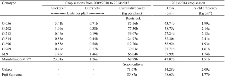 Table 4. Incidence of burrknots and suckers, cumulative yield, trunk cross-sectional area (TCSA) in the sixth year, and  yield efficiency for the Galaxy and Fuji Suprema apple (Malus domestica) scion cultivars grafted on different rootstocks  and cultivate