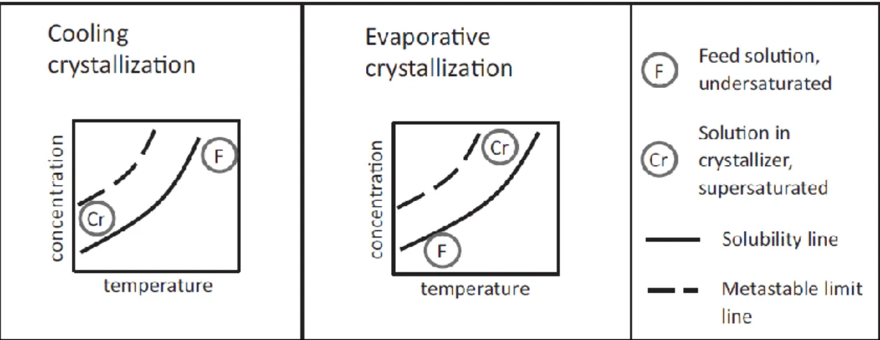 Figure 2.4 Scheme of the cooling and evaporative crystallization through a solubility curve