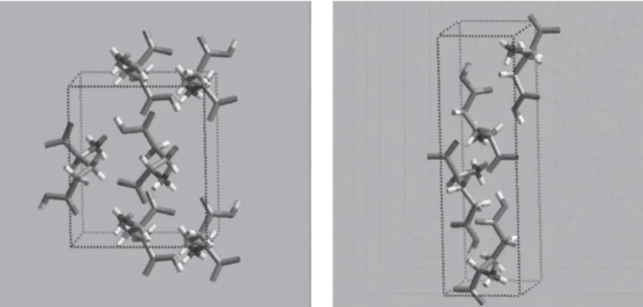 Figure 2.11 Polymorphs of glutamic acid: (a) orthorhombic α-form and (b) orthorhombic β-form