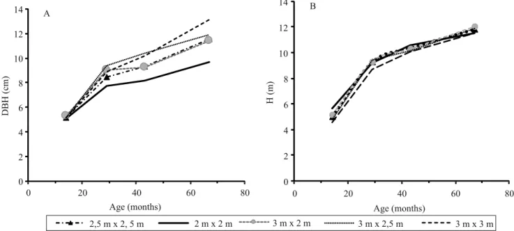 Figure 3.  Diameter at breast height (A) and height (B), in Acacia mangium trees at different spacings in the municipality of  Cantá, in the state of Roraima, Brazil.