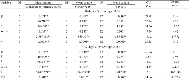 Table 2. Analysis of variance of the physiological parameters evaluated for naturally-colored cotton (Gossypium hirsutum)  at 70 and 93 days after sowing (DAS) according to different salinity management strategies and genotypes.