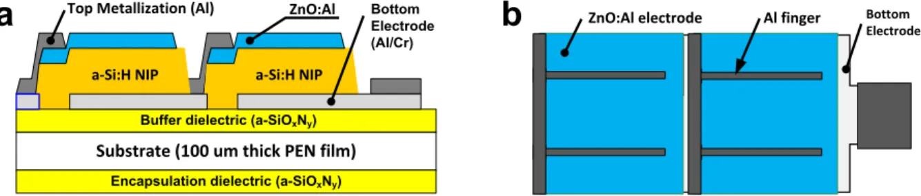 Fig. 1. Two cells connected in series: (a) cross-sectional view; (b) top view. 