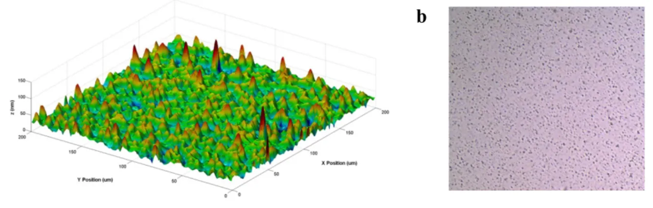 Fig. 6. (a) Surface scan of the a-Si:H film on the polyethylene-naphtalate (PEN) substrate; (b) Micrograph of top ZnO:Al layer