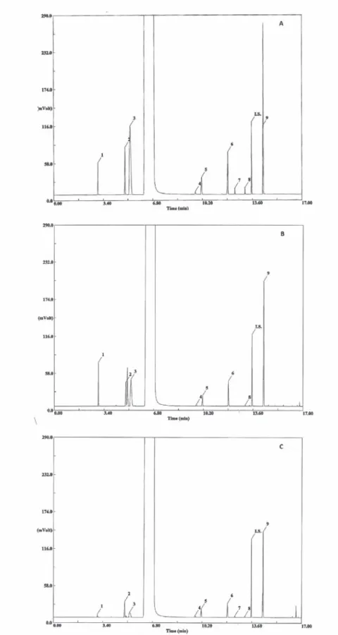 Fig. 1  -  Chromatogram of hydroalcoolic solution of standards (A), of a grape mark spirit (B) and of a brandy (C)