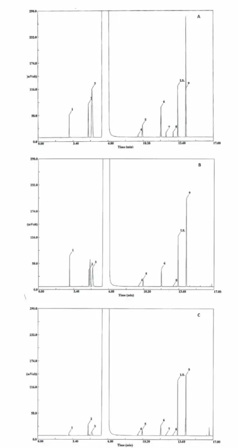 Fig. 1  -  Chromatogram of hydroalcoolic solution of standards (A), of a grape mark spirit (B) and of a brandy (C)