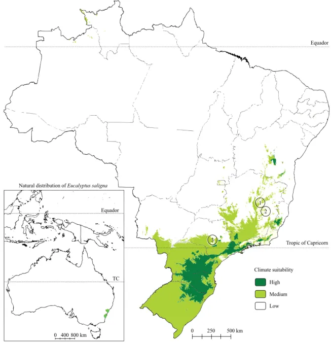 Figure 1. Experimental sites and climate suitability for Eucalyptus saligna in Brazil