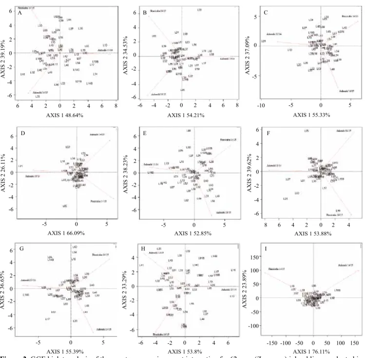 Figure 2. GGE biplot analysis of the genotype x environment interaction for 62 corn (Zea mays) inbred lines evaluated in  the municipalities of Anhembi in 2013/2014, of Anhembi in 2014/2015, and of Piracicaba in 2014/2015, in the state of São  Paulo, Brazi