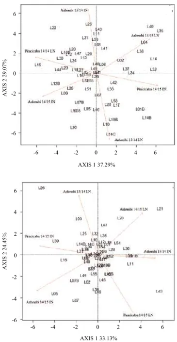 Figure 3. GGE biplot analysis of the genotype x environment  x nitrogen level interaction, under low (LN) and ideal (IN)  nitrogen  conditions,  for  62  inbred  corn  (Zea mays)  lines  evaluated in the municipalities of Anhembi in 2013/2014, of  Anhembi 