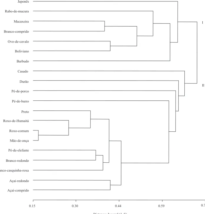 Figure 6. Cluster analysis based on 49 morphological descriptors of 20 landraces of Dioscorea trifida, using the Jaccard  index and the UPGMA cluster method.