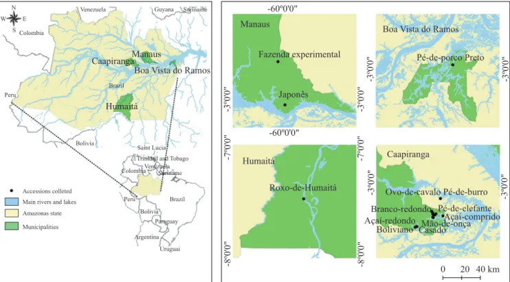 Table 2. Results of the soil analysis of the experimental cultivation area of Amerindian yam ( Dioscorea trifida ) in the  Central Amazon region of Brazil.