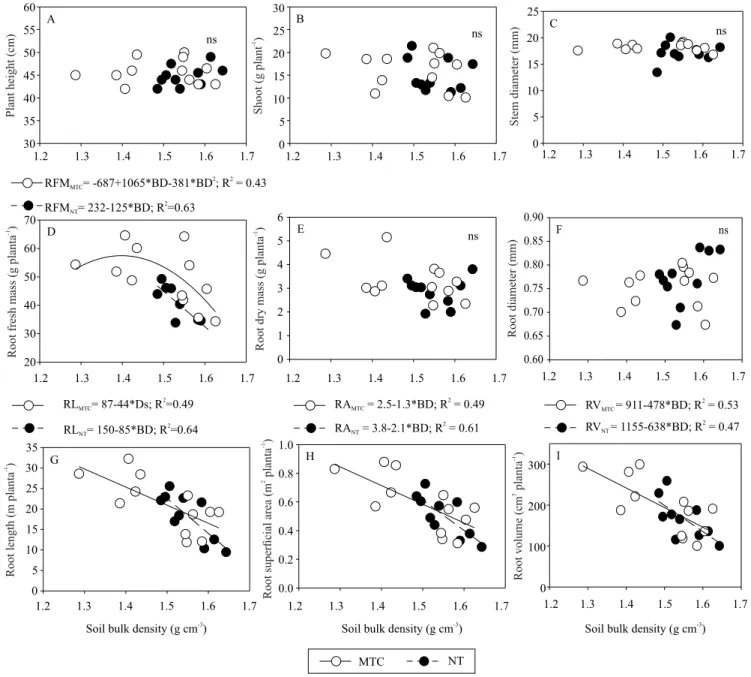 Figure 4. Relationship between the morphological parameters of corn (Zea mays) – plant height (A), shoot dry mass (B),  stem diameter (C),  root fresh mass (D), root dry mass (E), root diameter (F), root length (G), root surface area (H), and root  volume 