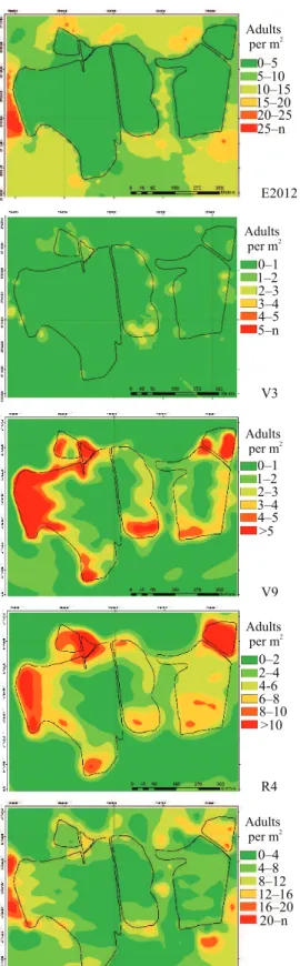 Figure 7. Map of the Tibraca limbativentris spatial distribution of adults per m² in different evaluations in cultivation areas  of flood irrigated rice