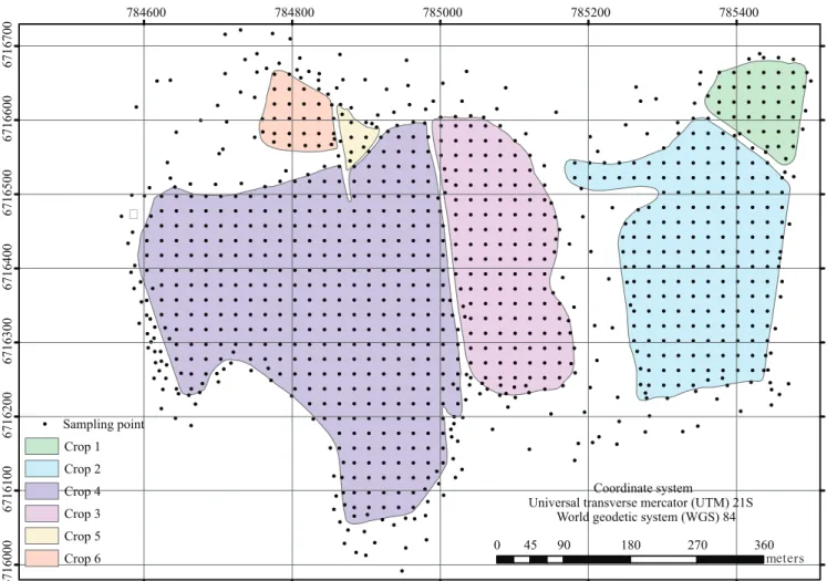 Figure 1. Map of the study area, with representation of the sampling points in the six flood irrigated rice (Oryza sativa)  crops evaluated
