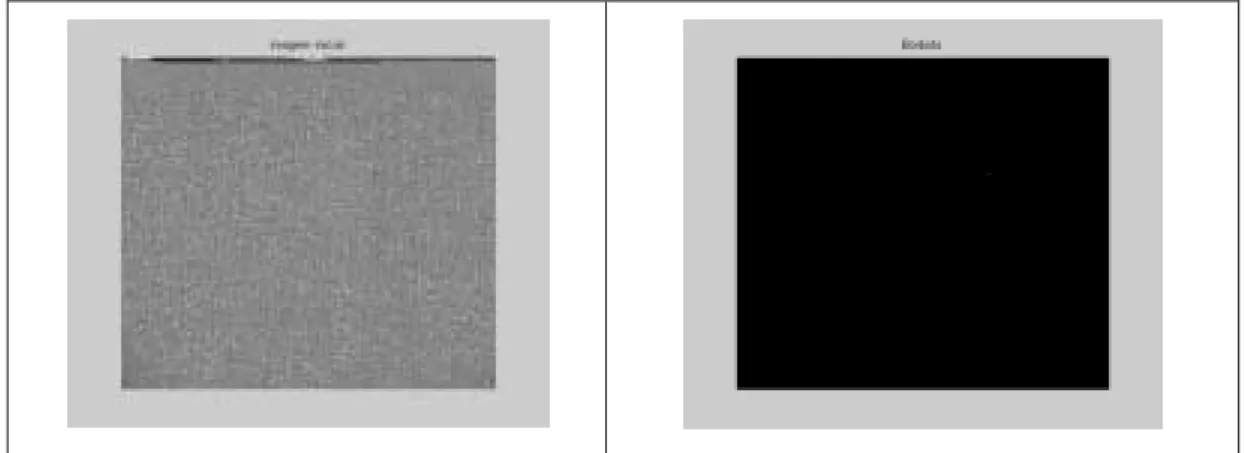 Fig. 5- Imagem capturada, com defeito, borboto  Fig. 6 - Imagem com defeito segmentado, borboto 
