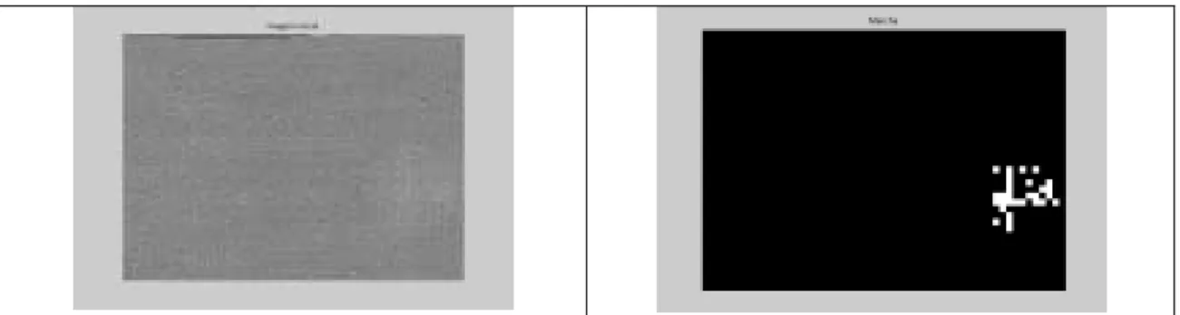 Fig. 9 - Imagem capturada, com defeito, mancha  Fig. 10 - Imagem com defeito segmentado, mancha 