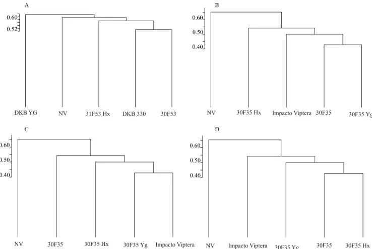 Figure 1.  Dendrogram of similarity of ant species (Formicidae) for native vegetation environments (NV), and cultivation of  conventional maize (30F53, 30F35, and DKB330), Bt maize (31F53Hx, DKBYG, 30F35Hx, 30F35YG), and Impact Viptera,  for periods 1 (A),