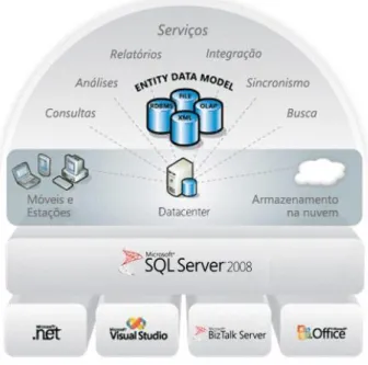 Ilustração 7 - Plataforma SQL Server 2008. Fonte: (Microsoft, 2008) 