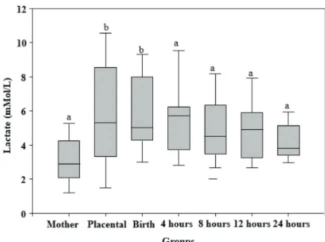 Table 1. Serum lactate concentration in the mothers, placenta and lambs at the time of birth and after 4, 8, 12 and 24 hours