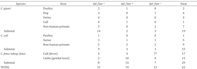 Table 2. Adherence and invasion of HeLa cells by Campylobacter spp. strains isolated from animals