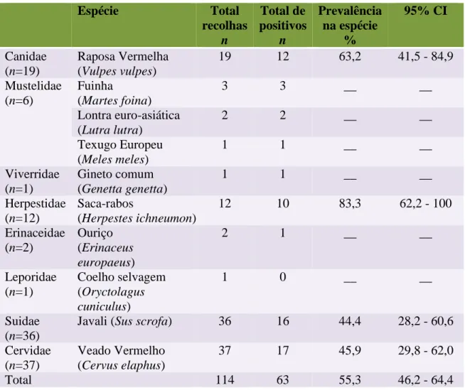 Tabela 8: Distribuição de Nocardia spp. por famílias taxonómicas e espécies em animais selvagens  recolhidos e examinados entre 2009 e 2013