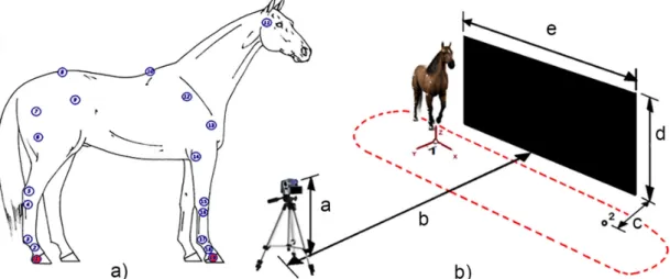 Table 1. Mean and standard deviation for range of motion  of the neck, knee joint and fetlock joint, displacement and  acceleration of hoofs, and inter-class correlation coefficient Mean ± SD ICC Neck