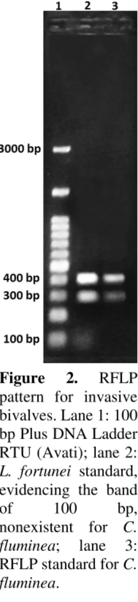 Figure  2.  RFLP  pattern  for  invasive  bivalves. Lane 1: 100  bp Plus DNA Ladder  RTU (Avati); lane 2: 