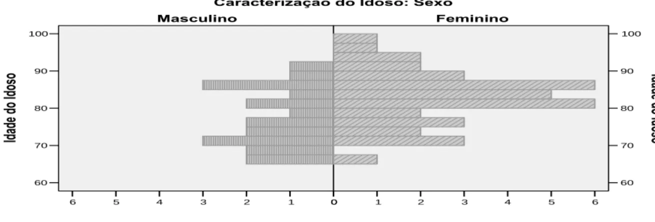 Figura 3 – Pirâmide etária