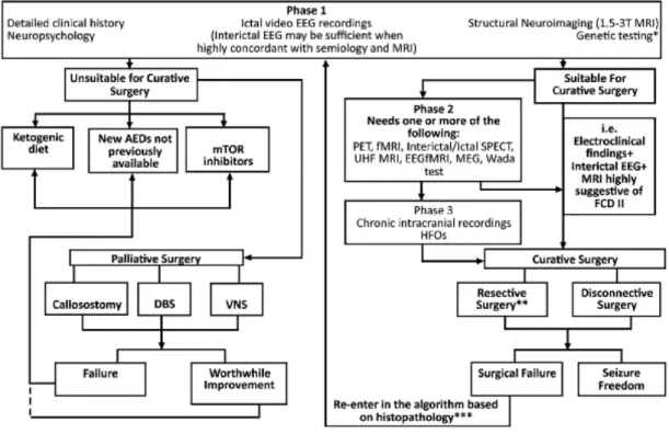 Figura 6 – Algoritmo para diagnóstico e abordagens terapêuticas para doentes com FCD.  