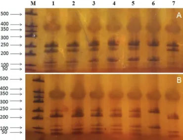 Figure 3 – Electropherogram of mitochondrial 12S rRNA gene fragments of so-called  quail and so-called pigeon meats DNA digested by Alu I