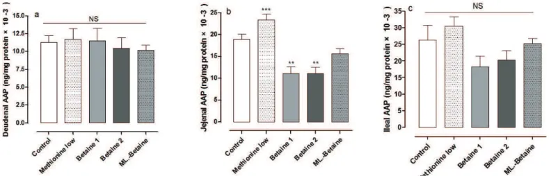 Figure 3 – Activity of AAP in the duodenum, jejunum and ileum of broiler chicks on day 7 post hatch.