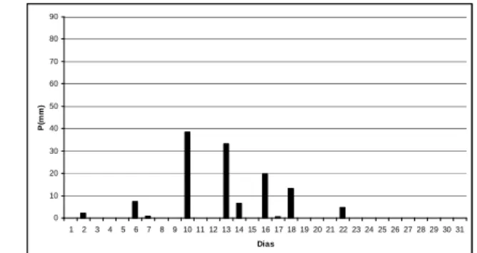 Fig.  15  -  Sequência  de  dias  com  precipitação,  em  Presidente  Prudente  entre  Dezembro  de  2006 e Março de 2007