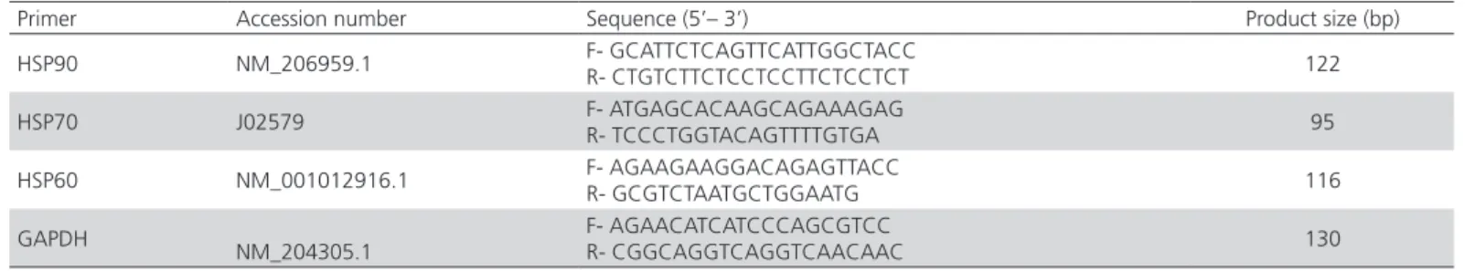 Figure 3 – Heat shock protein (HSP) gene expression. A: liver tissue, B: muscle tissue