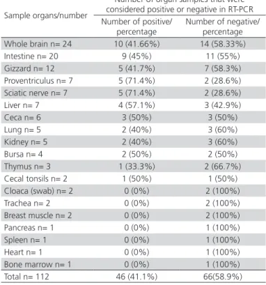 Table 1 – Percentage of positive and negative results for  Tremovirus A, for each group of organs from chickens  clinically suspected of Avian Encephalomyelitis.