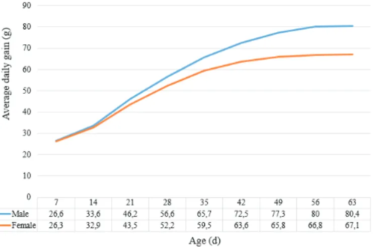 Figure 1 – Average daily weight gain (g) of male and female broilers from seven to 63  days-old