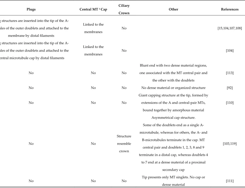 Table 2. Examples of different distal domain structures. 