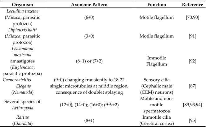 Table 1. Examples of variations to the (9+2) and (9+0) axoneme patterns. 