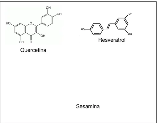 Figura  7.  Estruturas  químicas  dos  polifenóis  quercetina  (flavonóide);  resveratrol  (estilbeno)  e  sesamina  (lignana) (Jayasinghe et al., 2003; Hammer et al., 2008;.Yu et al., 2008)